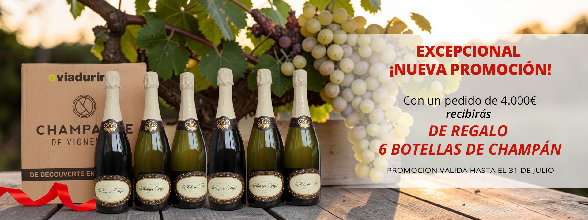 ¡6 BOTELLAS DE CHAMPÁN DE REGALO!