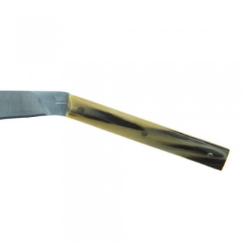 6 cuchillos ergonómicos para carne con hoja de acero Made in Italy - Shark
