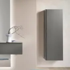 Perchero de melamina lacada con puerta de MDF y estante interior - Lunis Viadurini