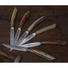 Bloque de madera de olivo con 6 cuchillos para carne Made in Italy - Bloque Viadurini