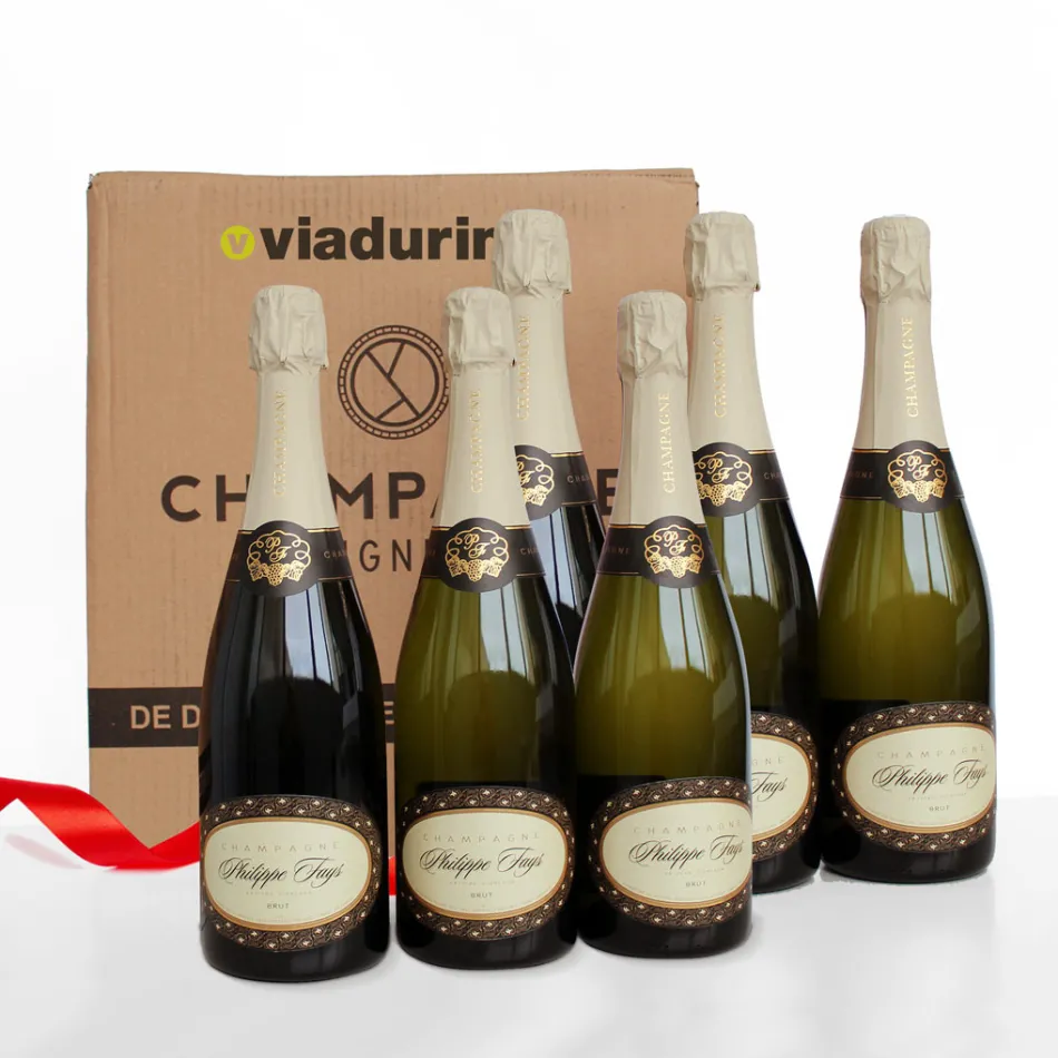Champagne Cuvee exclusivo para Viadurini pack de 6 botellas "Champagne de Vignerons" Viadurini