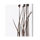 Composición de 4 Paneles con Hortensias, Allium y Thypha Made in Italy - Cálculo Viadurini