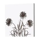 Composición de 4 Paneles con Hortensias, Allium y Thypha Made in Italy - Cálculo Viadurini