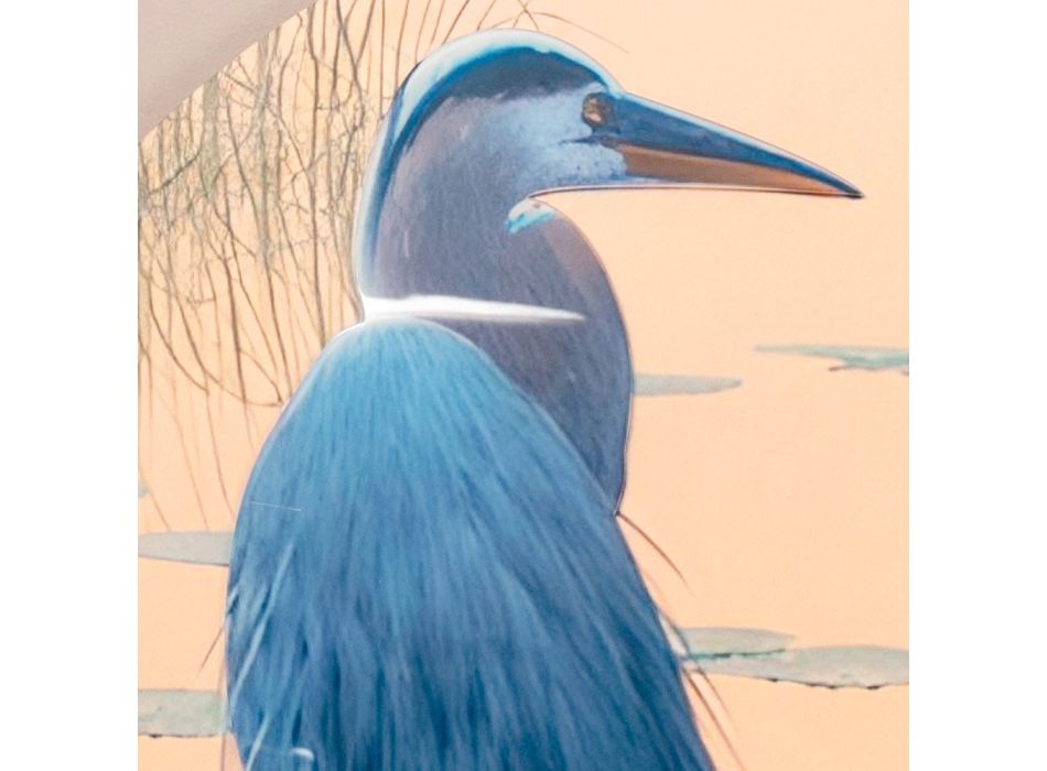 Composición de Cuadros en Madera con Estampado de Aves Made in Italy - Belice Viadurini