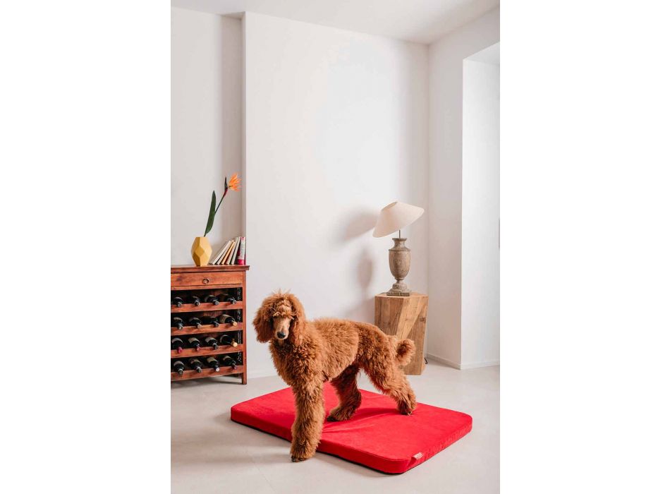 Caseta para perros de interior en microfibra extraíble Made in Italy - Simple Viadurini