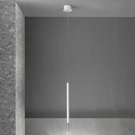 Lámpara de suspensión moderna con luz LED en metal pintado - Alerce Viadurini