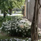 Lámpara de pie de jardín Diseño de aluminio blanco con hoja de nenúfar - Cipriam Viadurini