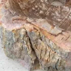 Lavabo de diseño en madera fosilizada Star mini, pieza única Viadurini