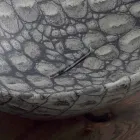 Lavabo sobre encimera de diseño cerámico hecho en Italia Animales. Viadurini