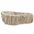 Lavabo sobre encimera de madera Petrificada, pieza única, Goa
