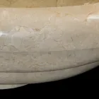 Lavabo sobre encimera de mármol de diseño Tito, pieza única Viadurini
