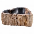 Lavabo de pie de madera fósil, Neirone