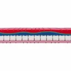 Colchón doble con memoria de alta calidad de 25 cm Hecho en Italia - Platino Viadurini