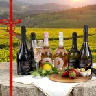 Sorteo exclusivo: 6 botellas de Prosecco DOC de regalo Viadurini
