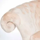 sillón acolchado a máquina de piel sintética Balma Viadurini