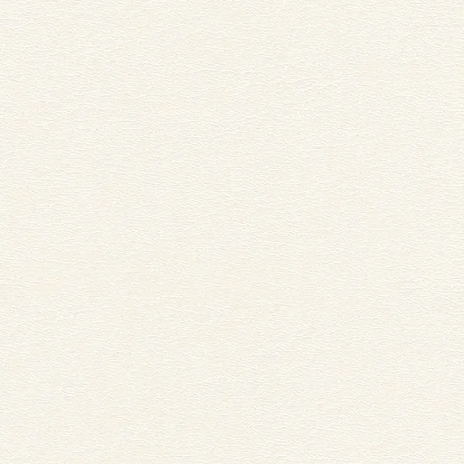 Sillón de salón en vidrio y asiento en cuero blanco de diseño moderno - Tecna Viadurini