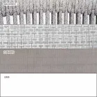 Sillón Garden Lounge tapizado en tela y aluminio - Smart by Varaschin Viadurini