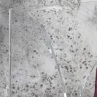 Paragüero en cristal acrílico transparente decorado con láser - Versio Viadurini