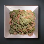 Cuadro de pared moderno en metal y flores artificiales Made in Italy - Gonio Viadurini