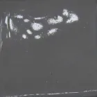 Rosetón de cerámica para lámparas composición Battersea 975ST - Toscot Viadurini