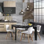 Silla de cocina en cuero sintético y madera maciza 2 piezas - Fiorenzuola Viadurini