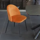 Silla de Salón con Asiento y Patas en Diferentes Acabados - Chandra Viadurini