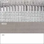 Silla de exterior con reposabrazos apilable tapizado H 78cm - Smart by Varaschin Viadurini