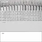 Silla apilable para exteriores con reposabrazos acolchados Al. 73 cm - Smart by Varaschin Viadurini