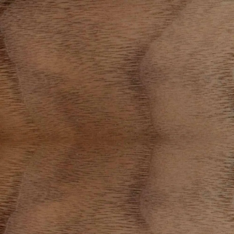 Silla acolchada con base de madera de roble Made in Italy - Sebastian Viadurini