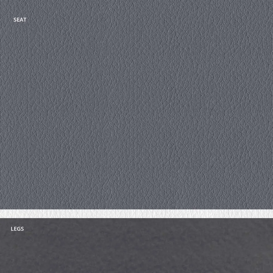 Silla acolchada de acero y asiento de piel sintética con borde blanco – Nirvana Viadurini