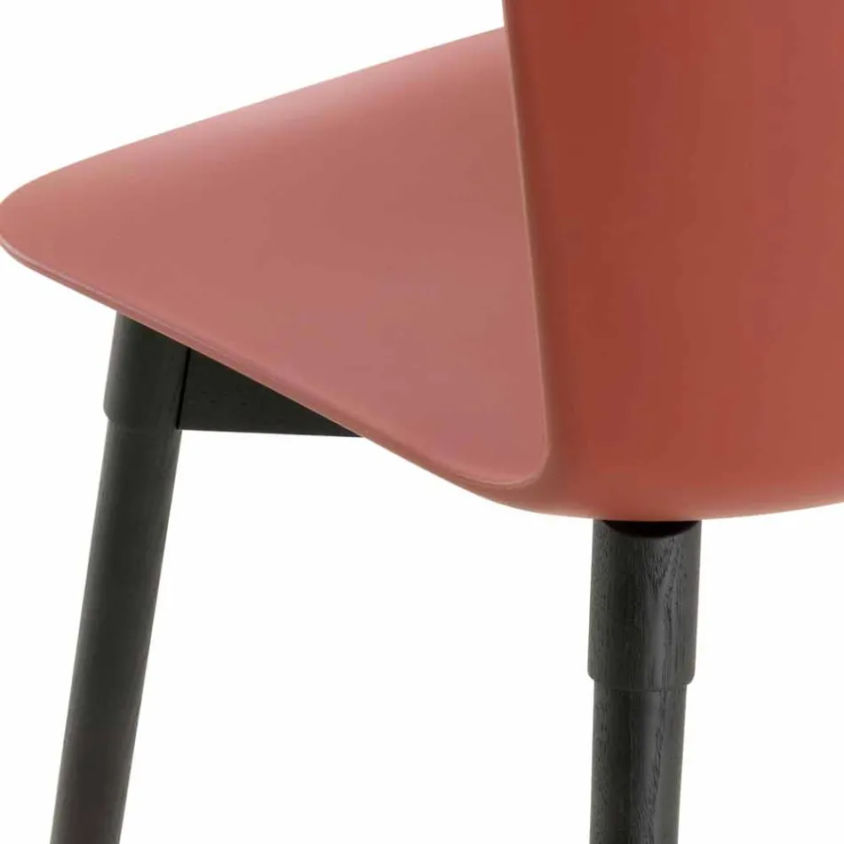 Silla de polipropileno con base de roble teñido Made in Italy, 2 piezas - Scandio Viadurini
