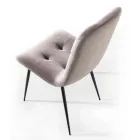 Silla de comedor tapizada de terciopelo resistente a las manchas, 4 piezas - Kylie Viadurini