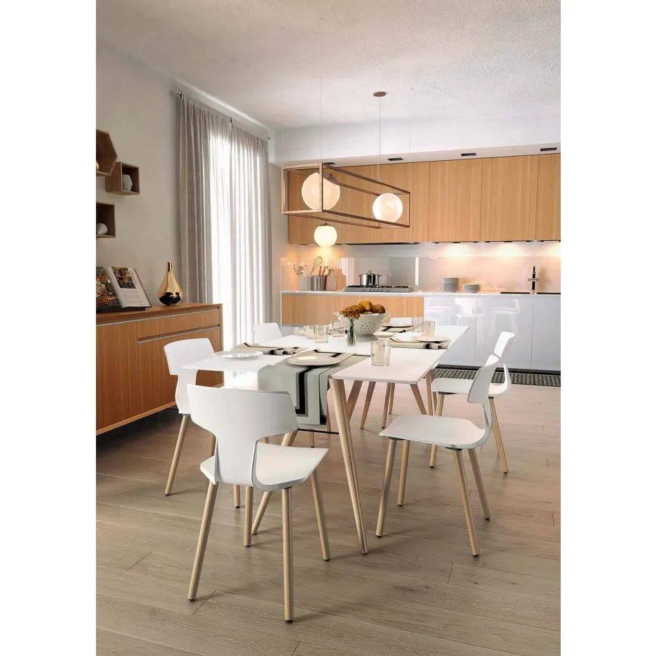 Sillas de comedor Made in Italy de madera y polipropileno, 2 piezas - Trébol Viadurini