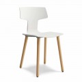 Silla de Comedor en Madera y Polipropileno Hecho en Italia, 2 Piezas - Clover