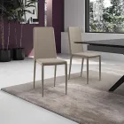 Juego de 4 sillas modernas en ecopiel blanca, gris o gris paloma - Dora Viadurini