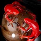 Adorno de vidrio coloreado en forma de huevo con lagartijas Made in Italy - Huevo Viadurini