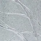 Espejo de pared rectangular de madera de abeto hecho en Italia Achille Viadurini