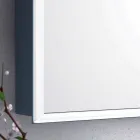 espejo de pared 2 puertas de los contenedores modernos, iluminación LED, Adele Viadurini