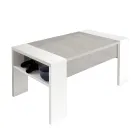 Mesa de Centro con Contenedor de Madera Ecológica - Cripto Viadurini