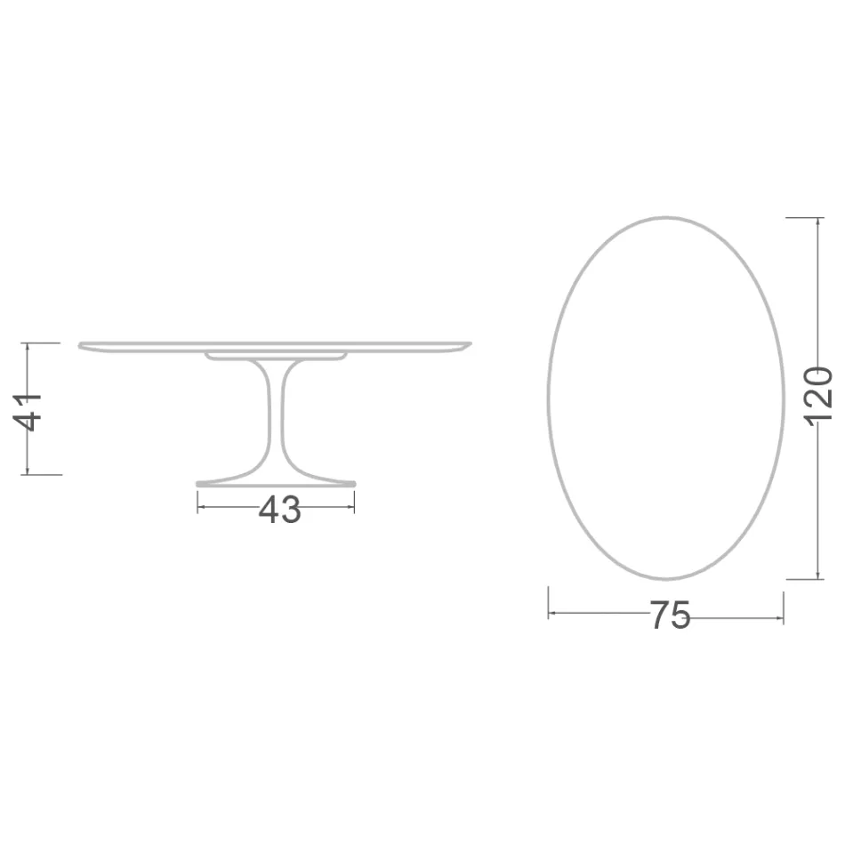 Eero Saarinen H 41 Mesa de Centro Tulipán Ovalada con Tapa de Mármol Arabescato Made in Italy - Escarlata Viadurini