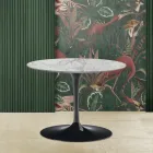 Mesa de Centro Tulip Saarinen Alt. 39 con Tapa Ovalada de Mármol Arabesco Made in Italy - Escarlata Viadurini