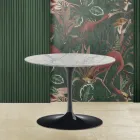 Tulip Saarinen H 39 Mesa de centro ovalada con tablero de mármol Statuarietto Carrara Viadurini