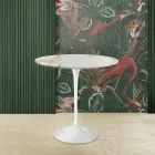 Mesa de centro Tulip Saarinen Alt. 52 con tablero ovalado de mármol dorado Caracatta Made in Italy - Escarlata Viadurini