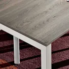 Mesa de comedor en melamina y metal pintado Made in Italy - Remigio Viadurini