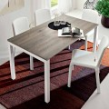 Mesa de comedor en melamina y metal pintado Made in Italy - Remigio