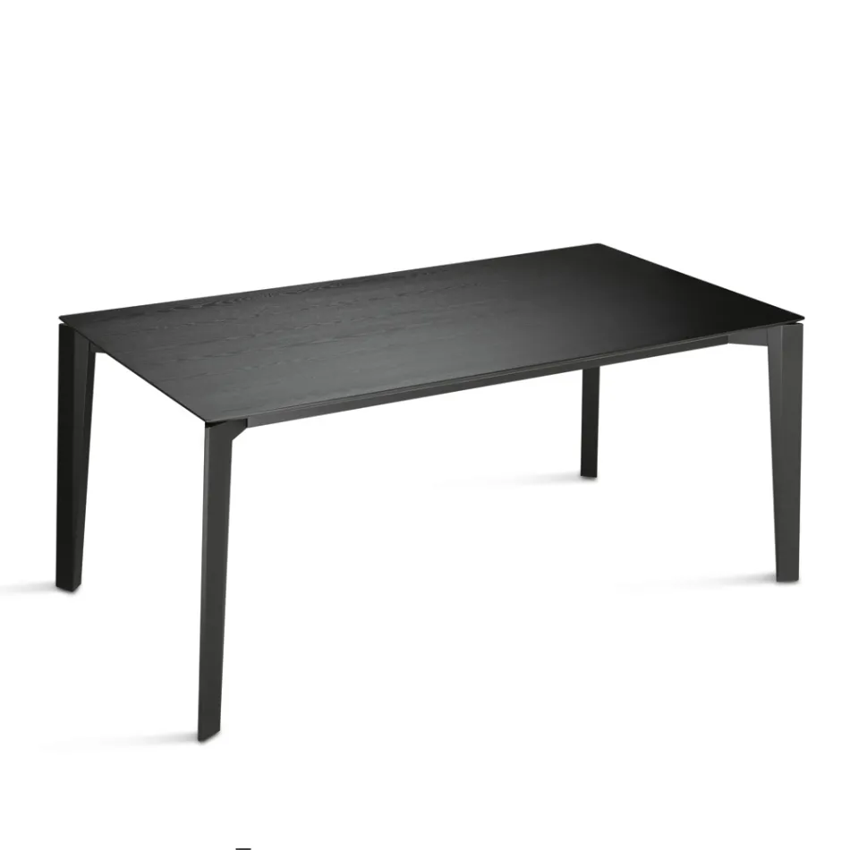 Mesa rectangular para ocho personas en MDF y madera ecológicos, varios acabados - Enea Viadurini