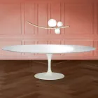 Mesa Tulipán de Eero Saarinen, 74 cm de altura, ovalada, en laminado líquido, fabricada en Italia - Escarlata Viadurini