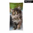 radiador de diseño eléctrico con vidrio templado fotos Barry Viadurini