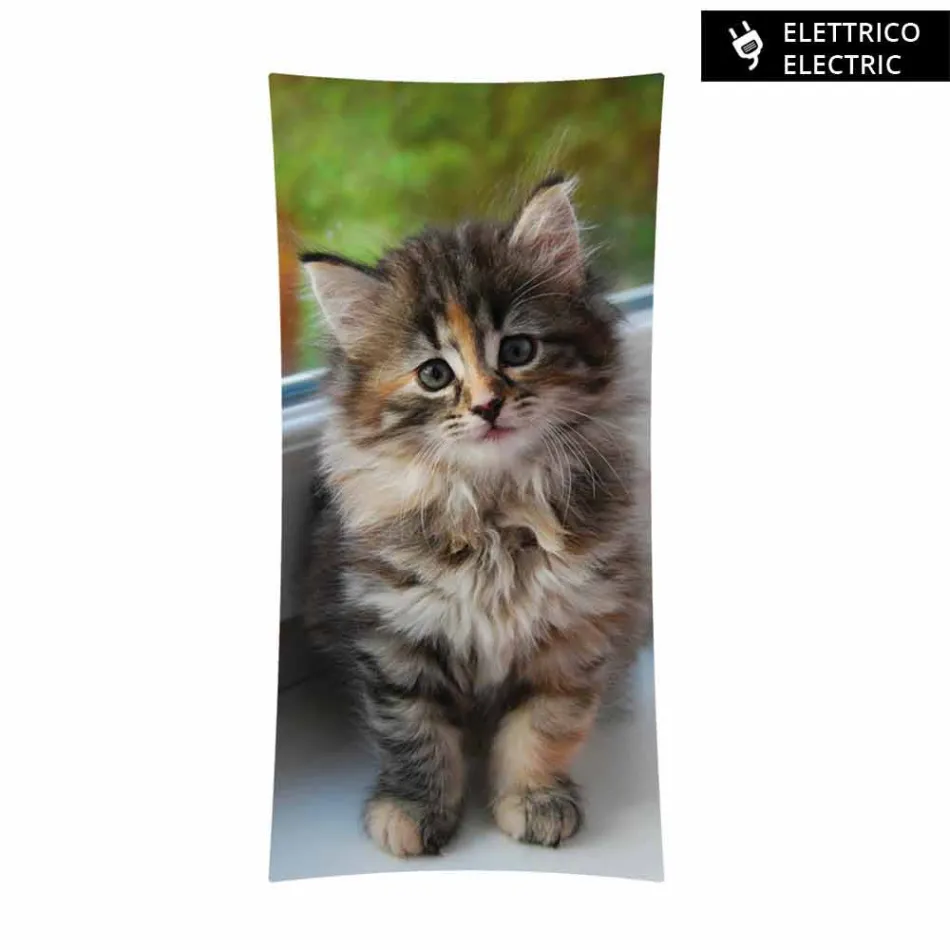 radiador de diseño eléctrico con vidrio templado fotos Barry Viadurini