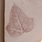 Lámpara de pared de terracota Toscot Vivaldi hecha en Italia Viadurini